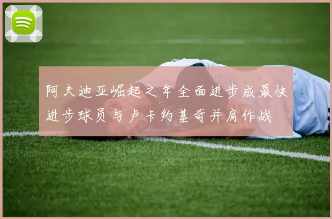 阿夫迪亚崛起之年全面进步成最快进步球员与卢卡约基奇并肩作战