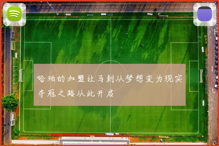 哈珀的加盟让马刺从梦想变为现实夺冠之路从此开启